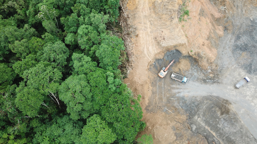 aerial deforestation